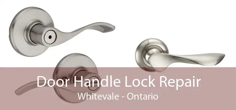 Door Handle Lock Repair Whitevale - Ontario