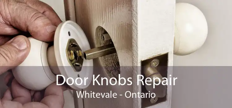 Door Knobs Repair Whitevale - Ontario