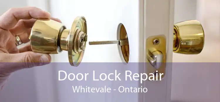 Door Lock Repair Whitevale - Ontario
