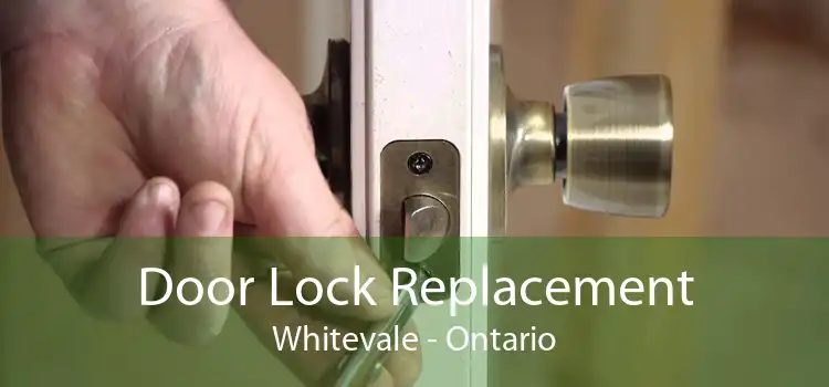 Door Lock Replacement Whitevale - Ontario