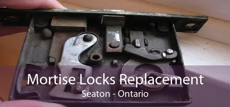 Mortise Locks Replacement Seaton - Ontario