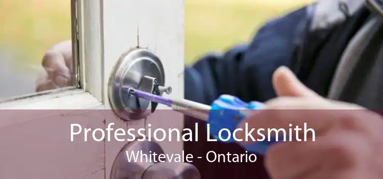 Professional Locksmith Whitevale - Ontario